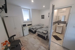 d890a429-e561-46ae-a457-981fbb02cca3-1